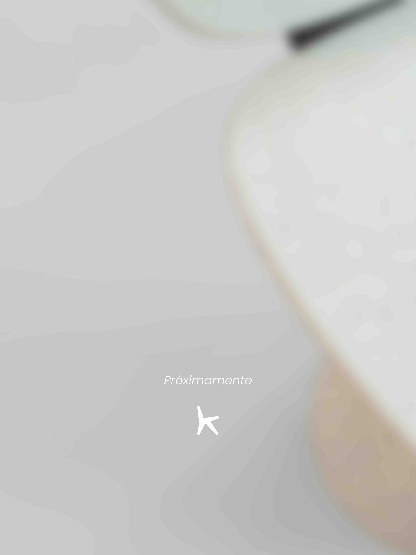 Silla Stone Pebble detalle