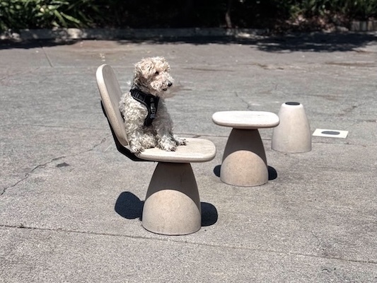 Silla banco y bolardo Stone Pebble con perrito mobiliario urbano]