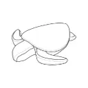 PSF-PA-01g Cría de Tortuga Caguama